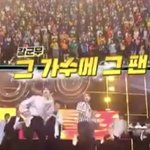 [세븐틴] 300 진짜