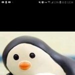 [댓글부탁해] 이거 무슨 ㅛㅏ진이야?? <b>펭귄</b>