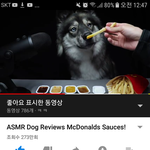[댓글부탁해] 대형견한텐 <b>감</b>튀줘도돼??