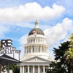 오늘 평화축제!