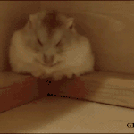 근데 영어못하는애들은 <b>팝송</b>들을때