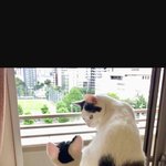 <b>니랑</b> 오늘 놀러가고싶다