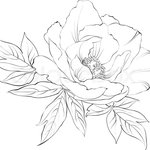 [댓글부탁해] 장기에구멍뚫린거같이아파.. 도와줘 ㅠ