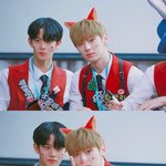 황민현 배진영 <b>이사진</b> 귀엽다ㅋㅋㅋㅋㅋ