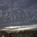 안 자는 새<b>럼들</b>.. 하늘 봐바