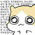 [드루와] <b>킬커버</b> 컨실쿠션 리넨 어떰