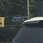<b>반려</b>견 키우는 분들 궁금한 게 있는데요