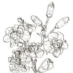 [댓글부탁해] 나 장기에구멍뚫린거같아....ㅠㅠ넘아파