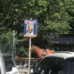 [꼭조언부탁] 불쌍한 말을 <b>타지</b> 말아주세요!