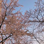 [드루와] 난 나 자신한테 정말 잘 컸다고 <b>박수</b>쳐주고 싶어