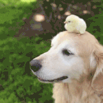 [NCT] 아니 진짜 127 <b>소심</b>시티 이제야 봉인 풀린거