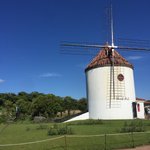 [드루와] 나 어릴 때 <b>왼손</b>잡이였는데 바꾼건가?