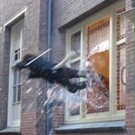 [EXO] 후..얘들ㅇ아 진짜