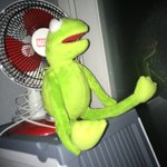 [EXO] <b>밑</b>에짤 개구리 우리<b>집</b>에도 있는데