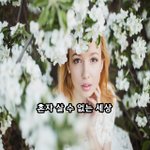 [좋은글귀] 혼자 살 수 없는 세상