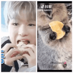 [강다니엘] <b>쿼카</b> 강다니엘 욤뇸뇸