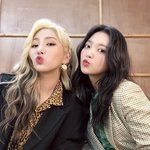레드벨벳이 피처링한 <b>횟수</b>