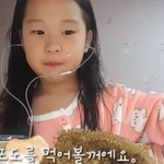 <b>띠</b><b>예</b> 시구