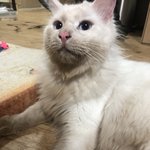 사고쳐놓고 억울한 표정 짓지마라....