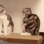 [댓글부탁해] 얘 살인<b>미수</b>로 처벌 안 받았대 미친거아니냐