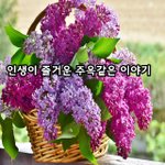 [좋은글귀] 인생이 즐거운 주옥같은 이야기