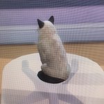 내 <b>심즈</b> 고양이 개기야웡