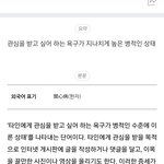 <b>관종</b>이 왜 <b>관</b><b>종</b>인줄알아?