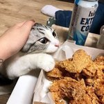 [19] ㅃㄹㅃㄹ아이디어