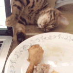 <b>족발</b>먹는중