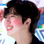 박수 <b>역병</b> 돌고 있는 스타쉽즈