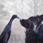 예상하지 못한 <b>뜻밖</b>의 우정
