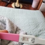 임테기 봐주라