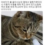 [드루와] 진짜 <b>아빠</b>잔소리<b>때</b><b>매</b> 너무 힘들어