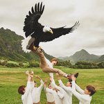 [EXO] 하<b>why</b> 디비디는 언제 나올까