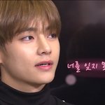 [방탄소년단] 아니 근데 디비디