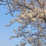 내가 고민 <b>올린</b>거 왜 삭제된거지..