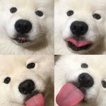 [드루와] 애들아 나 응원 <b>한</b>번씩만 <b>해</b>주라 제발
