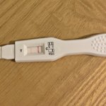 [19] 이거 진짜 임신이야?
