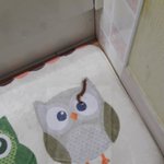 [이것좀봐줘] <b>지네</b>잡아본사람?