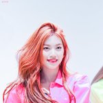 화보짬바 어디 안가는 김도연