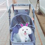 우리복덩씨~ㅋㅎㅎ