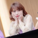 요즘 내가 애정하는 아이도루