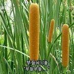 [드루와] 체육대회 화장 컨셉? 추반좀!