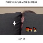 [댓글부탁해] 관심있는데 이 행동 가능??