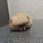 [드루와] <b>유쾌</b> 발랄 의사쌤 ㅋㅋㅋㅋ