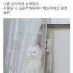 [댓글부탁해] 블랙<b>헤드</b> 원인이 화장일수도 있음?