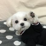 얘들아 나 오늘 진로<b>체험</b> 빠질건데