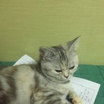 [드루와] 솔직히이정도면공부할수 없다 ㅇㅈ?