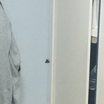 얘들아 제발 내 방에 완전 큰 <b>나방</b> 들어왓어ㅠㅠㅠㅠ