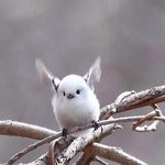 [댓글부탁해] 얘들아 사진 찍을때 이거 왜 이럼 ㅠㅠ